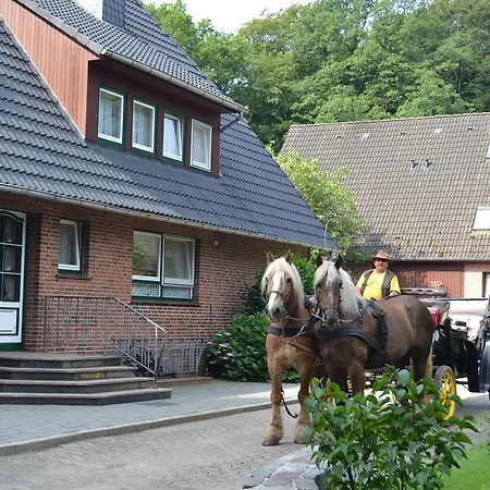 Apartment Hillmer Niederhaverbeck Exterior photo